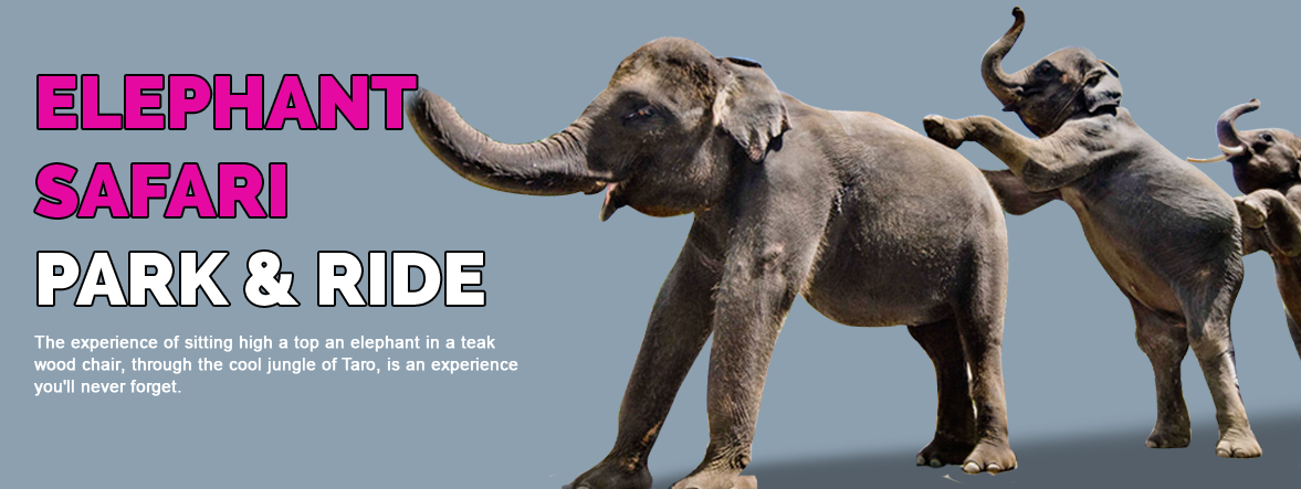 bali-elephant-safari